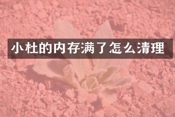 小杜的内存满了怎么清理