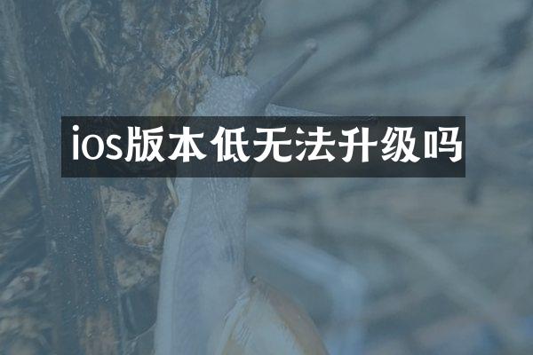 ios版本低无法升级吗