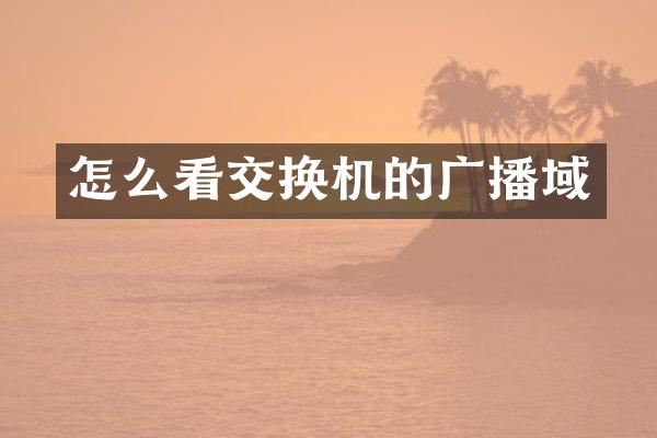 怎么看交换机的广播域