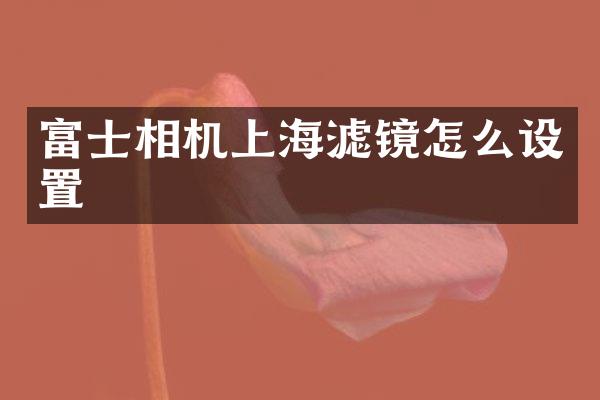 富士相机上海滤镜怎么设置