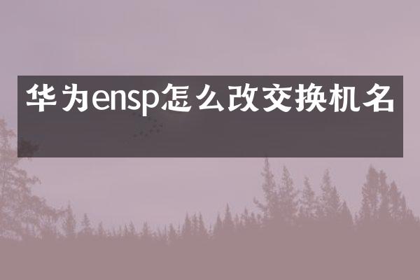 华为ensp怎么改交换机名字