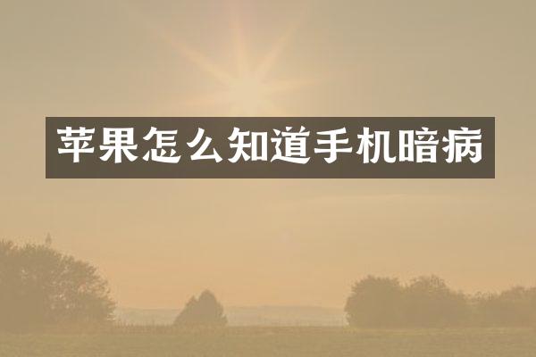 苹果怎么知道手机暗病