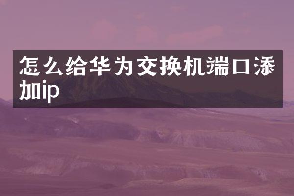 怎么给华为交换机端口添加ip