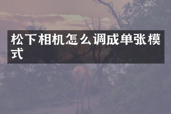 相机怎么调成单张模式