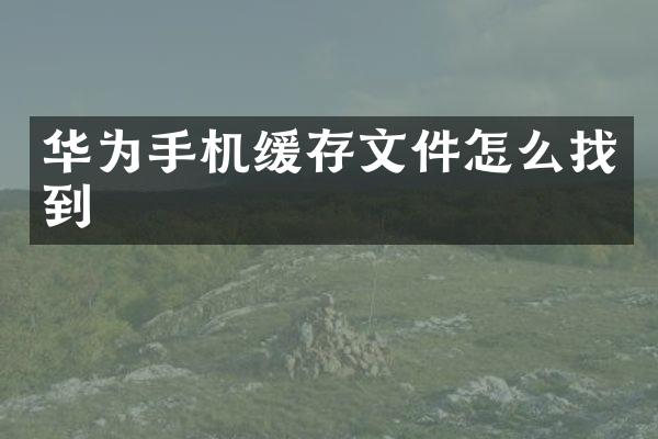 华为手机缓存文件怎么找到