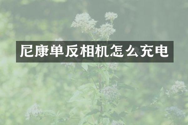 尼康单反相机怎么充电