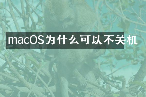 macOS为什么可以不关机