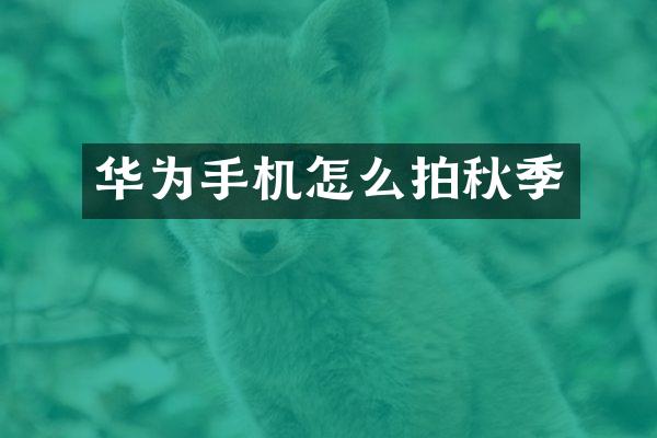 华为手机怎么拍秋季