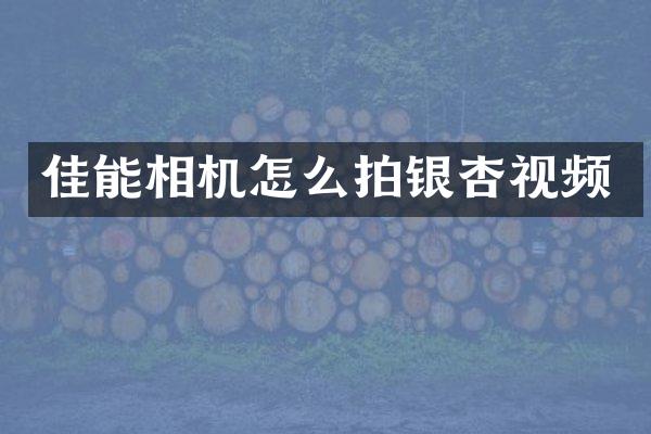 佳能相机怎么拍银杏视频