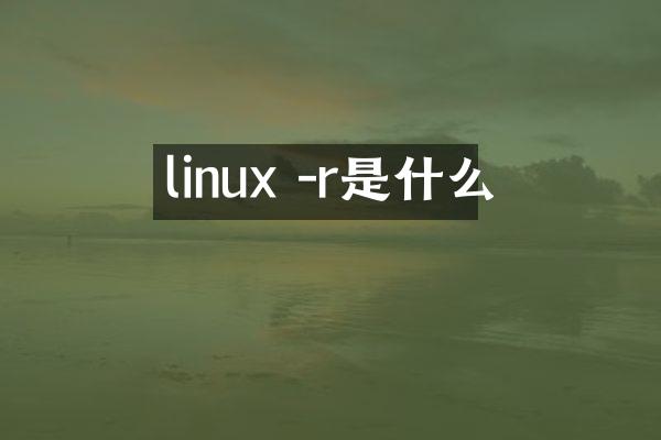 linux -r是什么