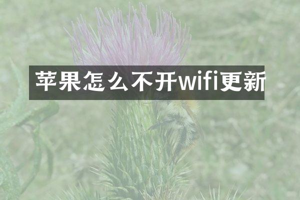 苹果怎么不开wifi更新