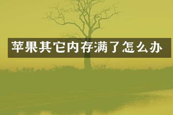 苹果其它内存满了怎么办