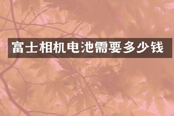 富士相机电池需要多少钱