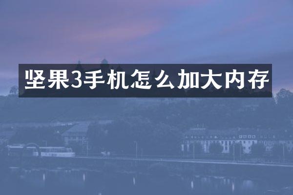 坚果3手机怎么加大内存