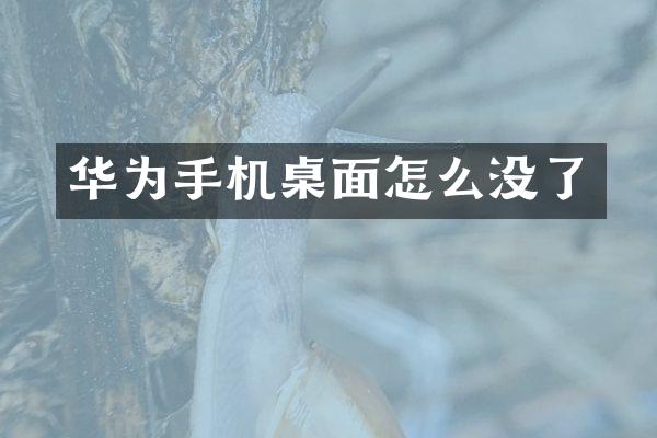 华为手机桌面怎么没了
