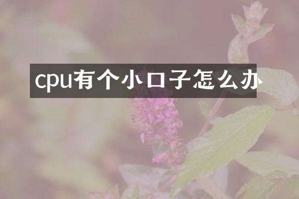 cpu有个小口子怎么办