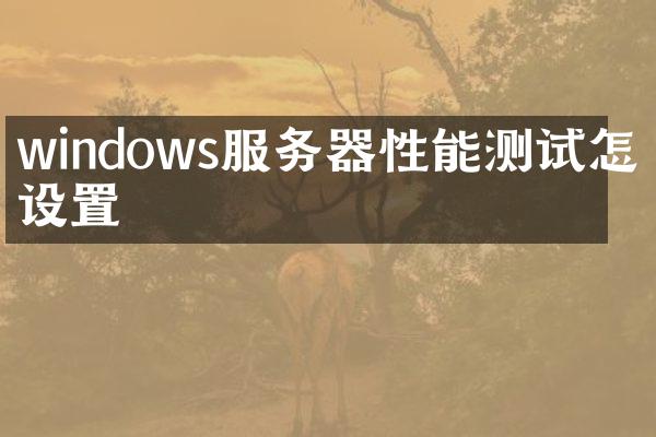 windows服务器性能测试怎么设置