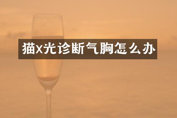 猫x光诊断气胸怎么办