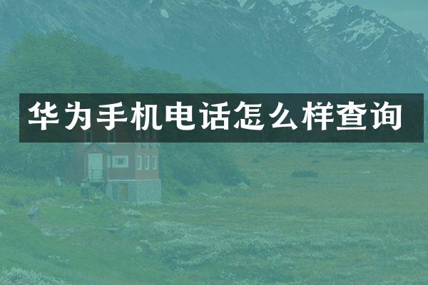 华为手机电话怎么样查询