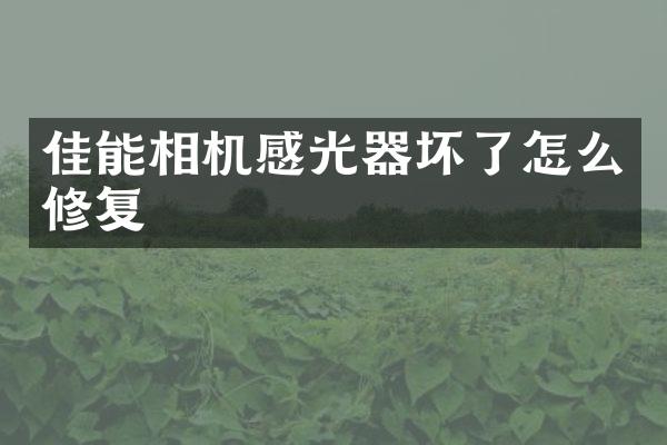佳能相机感光器坏了怎么修复