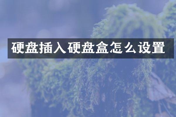 硬盘插入硬盘盒怎么设置