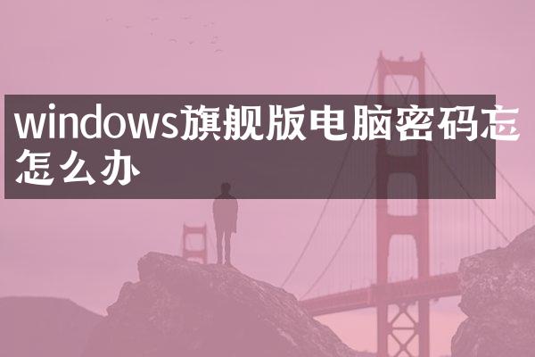 windows旗舰版电脑密码忘了怎么办