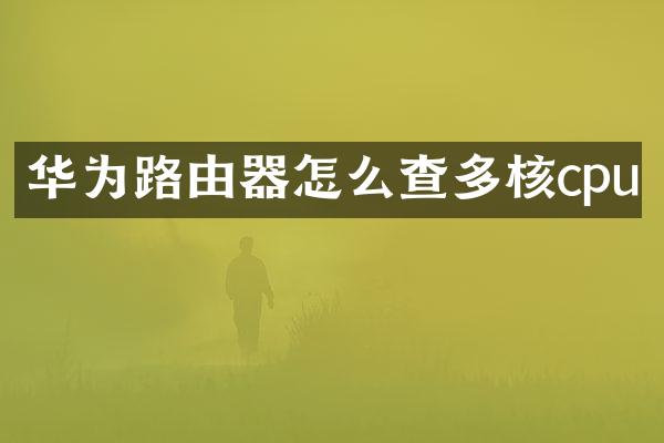 华为路由器怎么查多核cpu
