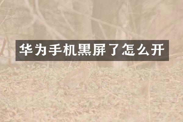 华为手机黑屏了怎么开
