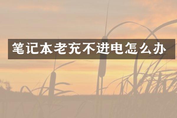 笔记本老充不进电怎么办