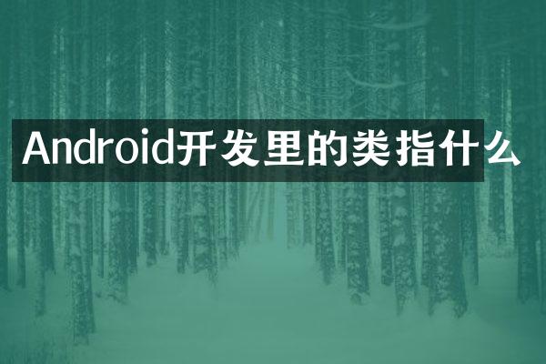 Android开发里的类指什么