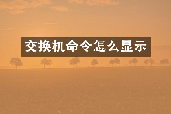 交换机命令怎么显示