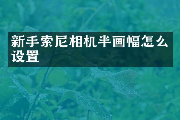 新手索尼相机半画幅怎么设置