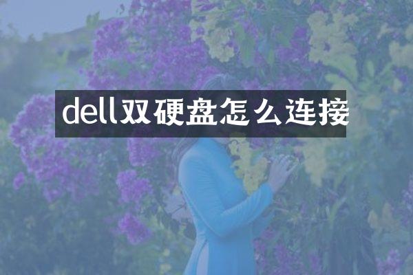 dell双硬盘怎么连接