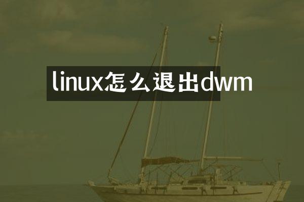 linux怎么退出dwm