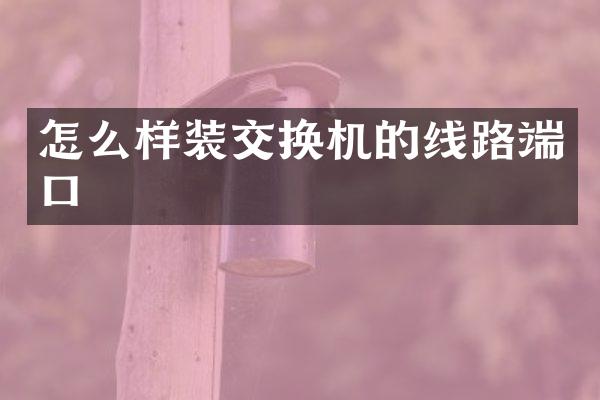 怎么样装交换机的线路端口