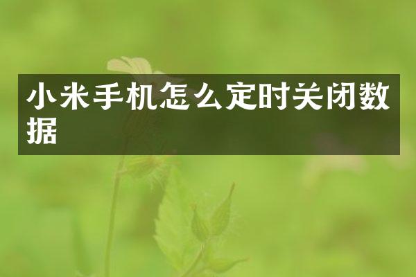 小米手机怎么定时关闭数据