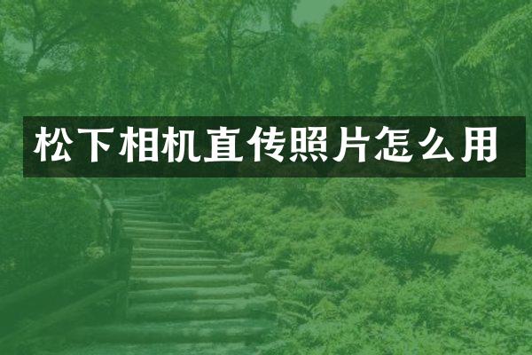 相机直传照片怎么用