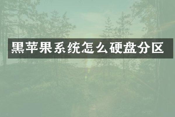 黑苹果系统怎么硬盘分区