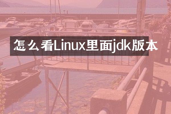 怎么看Linux里面jdk版本