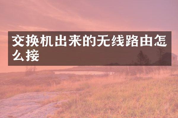 交换机出来的无线路由怎么接
