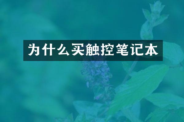 为什么买触控笔记本