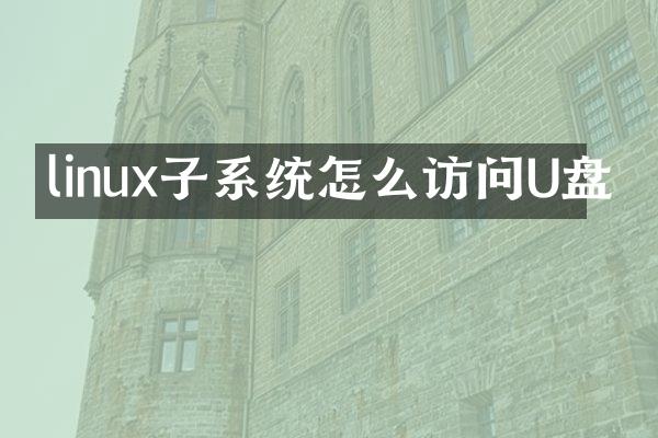 linux子系统怎么访问U盘