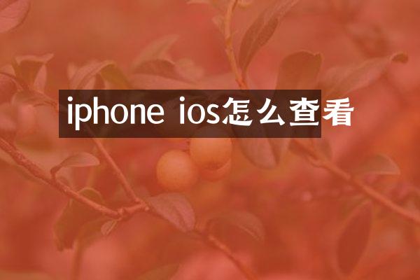 iphone ios怎么查看