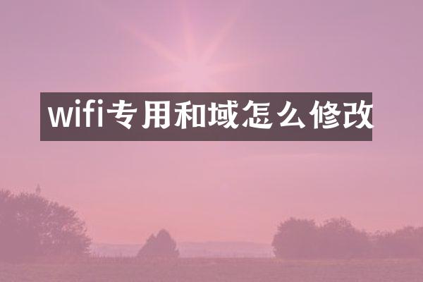wifi专用和域怎么修改