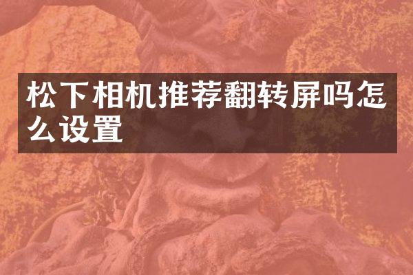 相机推荐翻转屏吗怎么设置