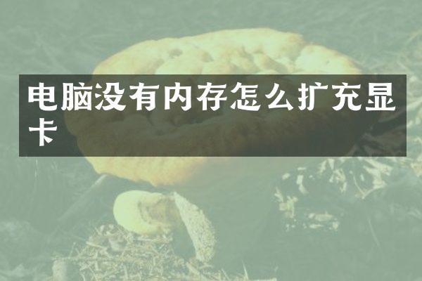 电脑没有内存怎么扩充显卡
