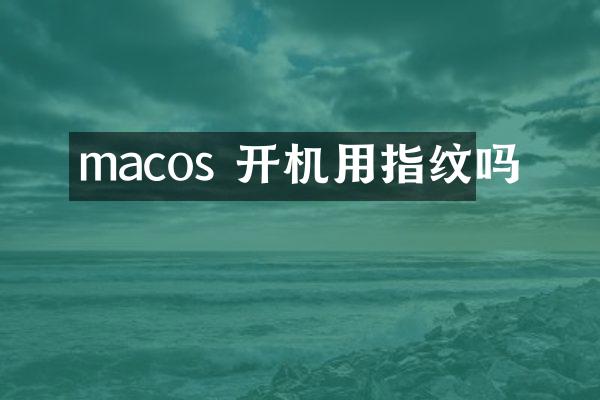 macos 开机用指纹吗