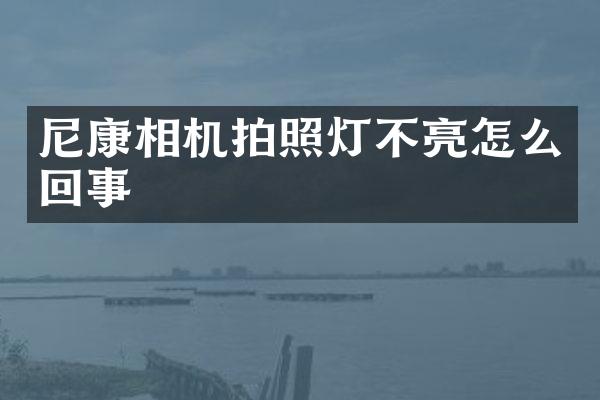 尼康相机拍照灯不亮怎么回事