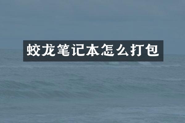 蛟龙笔记本怎么打包