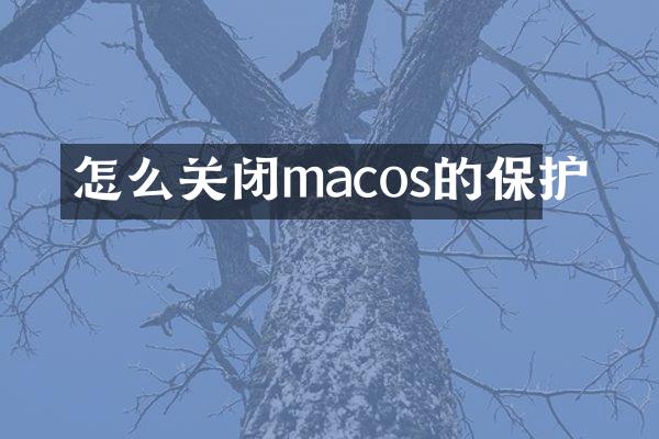 怎么关闭macos的保护